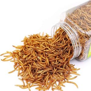 Reptile Food Dried Mealworms Pet Worms Food for Bearded Dragon, Lizard, Turtles, Chameleon, Monitor, Frog, Sugar Glider, Chickens, Ducks, Wild Birds, Fish, Hamsters and Hedgehogs