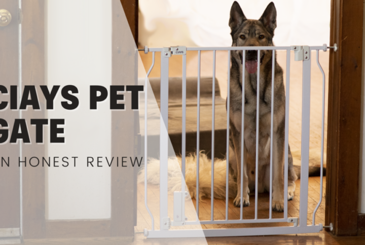 CIAYS Pet Gate For Dog Management – An Honest Review
