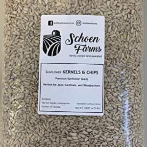 Sunflower Kernels and Chips