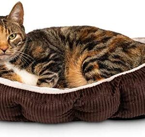 Pet Craft Supply Cat Bed For Indoor Cats - Kitten Bed - Machine Washable - Ultra Soft - Self Warming - Refillable Catnip Pouch