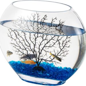 hygger Mini Glass Oblate Fish Bowl Kit, Small Fish Tank Comes with Blue Aquarium Decor Stones and Plastic Fan Branch Tree Ornament