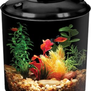 Koller Products BettaView 1.5-Gallon Aquarium, Cylindrical Shape with 7 Colors LED Lighting, Easy to Set Up and Maintain