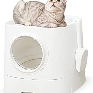 RIZZARI Large Cat Litter Box,Portable Cat Litter Box with Lid,Top Entry Cat Enclosed Litter Box Anti-Splashing and Easy Installation