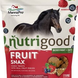 Nutrigood FruitSnax Horse Treats | Tasty Horse Treats Packed with Superfoods and Real Fruit Pieces | BerryMint + Oats Flavor | 2 Pounds