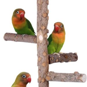 Bird Perch Nature Wood Stand for 3-4pcs Small Medium Parrots (S)