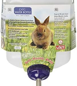 Lixit 64oz / Half Gallon Weather Resistant Water Bottle for Rabbits and Other Small Animals. (Pack of 1)
