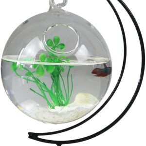 STOYRB Desktop Hanging Glass Fish Tank Mini Table Aquarium Glass Betta Fish Bowl Clear Fish Cylinder Bowl with Iron Stand for Office Home Decor, 1 Fish Bowl, Transparent