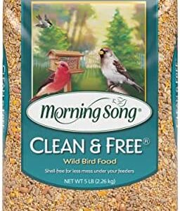 Morning Song Clean & Free Shell Free Wild Bird Food, Premium No Mess Bird Seed for Outside Feeders, 10-Pound Bag