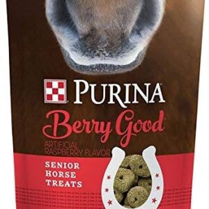 Purina | Berry Good - Raspberry Flavored Senior Horse Treats | Added Biotin for Hoof Health -3 Pound (3 lb) Bag