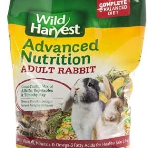 Wild Harvest Advanced Nutrition Diet For Adult Rabbits, 8 Lbs