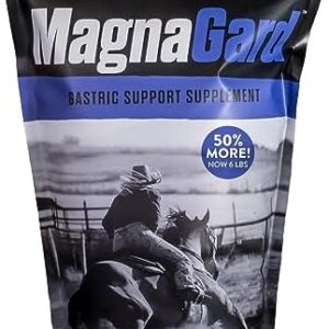 MagnaGard Gastric Support Supplement for Horses | Relieves Ulcers, Calming Supplement, Magnesium & Other Vital Minerals | Powder, 6 Pound Bag, 45-Day Supply | by Eagle Equine