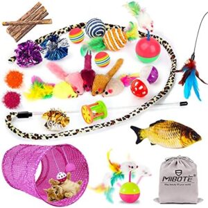 MIBOTE 28Pcs Cat Toys Kitten Toys Assorted, Cat Tunnel Catnip Fish Feather Teaser Wand Fish Fluffy Mouse Mice Balls and Bells Toys for Indoor Cat Puppy Kitty Interactive Cat Toy Set
