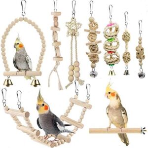 Bird Parrot Swing Toys, Chewing Standing Hanging Perch Hammock Climbing Ladder Bird Cage Toys for Budgerigar, Parakeet, Conure, Cockatiel, Mynah, Love Birds, Finches and Other Small to Medium Birds