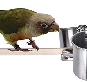 TBWHL Parrot Feeding Cups Hanging Pet Animal Stainless Steel Birdcage Bowls Bird Bowls for Cage Parakeet Bird Cage Accessories Suitable Small and Medium Bird S