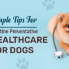 9 Simple Tips For Routine Preventative Healthcare For Dogs